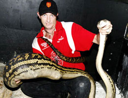 Stuart Douglas, a snake handler at the Australian Venom Zoo in Kuranda, holding a 5m giant python 