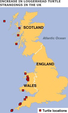Map of stranding sites