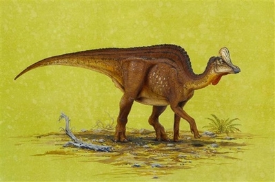 New dino discovered